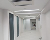 東京都文京区にて天井・木部塗装工事の施工事例(2025/12/02)