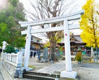 東京都北区の神社、鳥居・狛犬清掃の施工事例（2026/01/13）