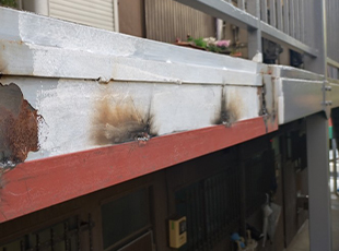 img_resultsu_1502055