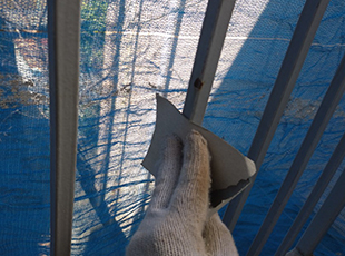 img_resultsu_1502065