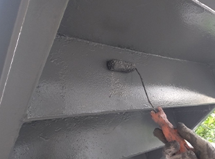 img_resultsu_1502071