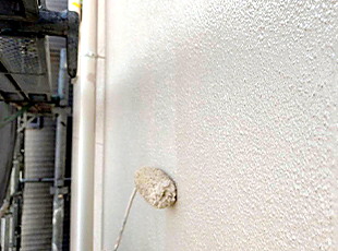 外壁塗装の上塗り作業